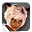 MIQOTE