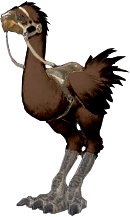 Chocobo color preview